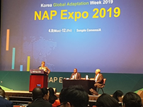 Korea: Adaptation Workshop at the NAP Expo 2019 in Incheon